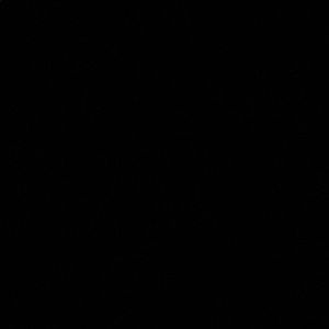 Meet your Posher, Sofie